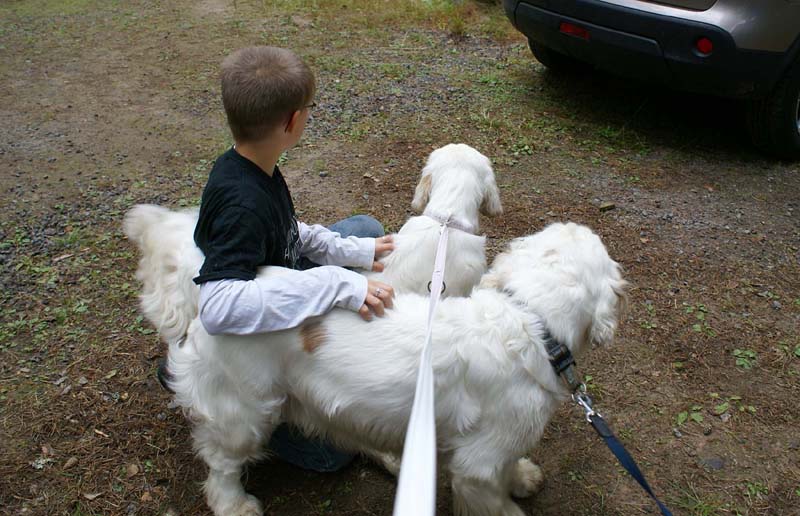 ST_Viking_Finn_ST_Queen_Guinevere_Eetu