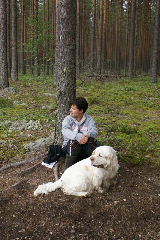 ST_Viking_Vigdis_Katri