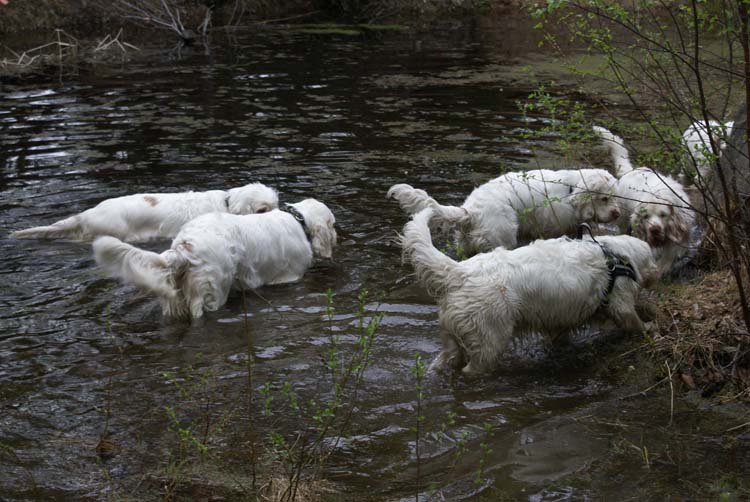 LooneyTunes_12May2011_a