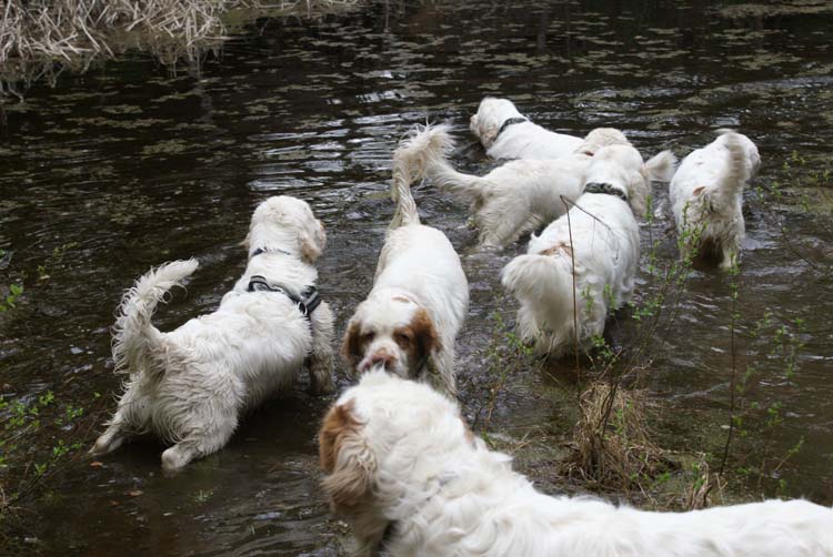 LooneyTunes_12May2011_b