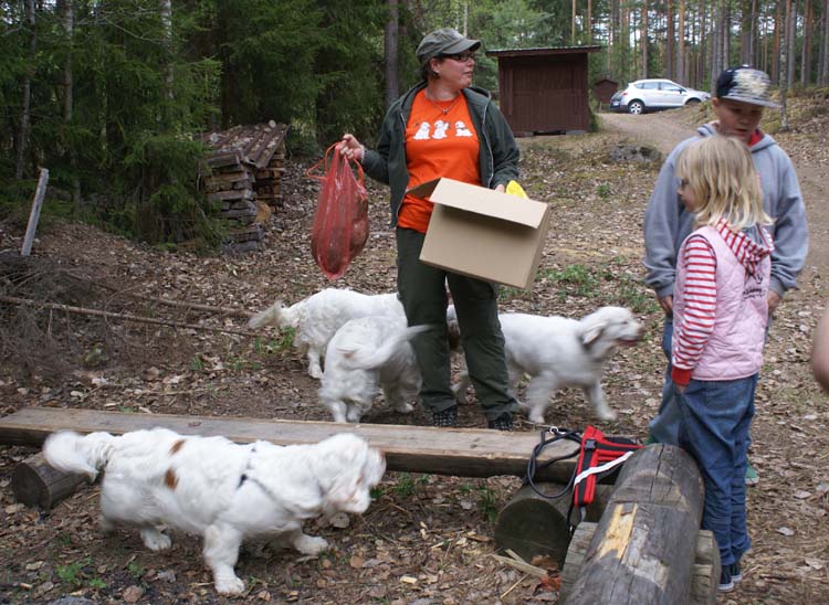 LooneyTunes_12May2011_d