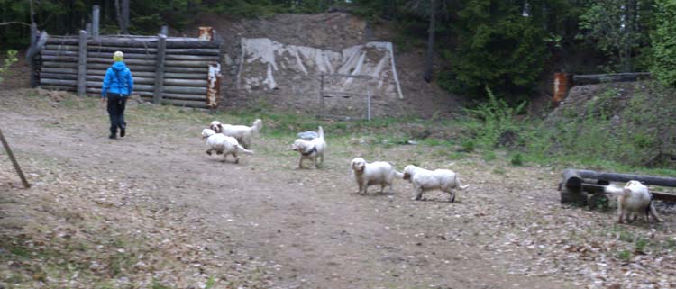 LooneyTunes_12May2011_n