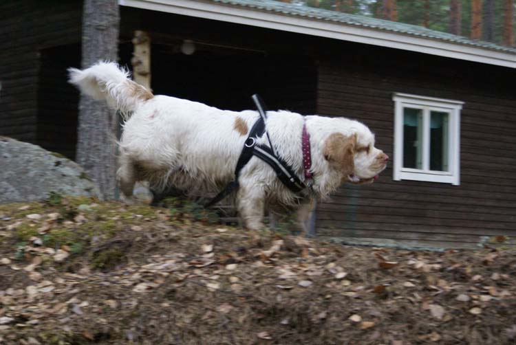 LooneyTunes_12May2011_q_keke