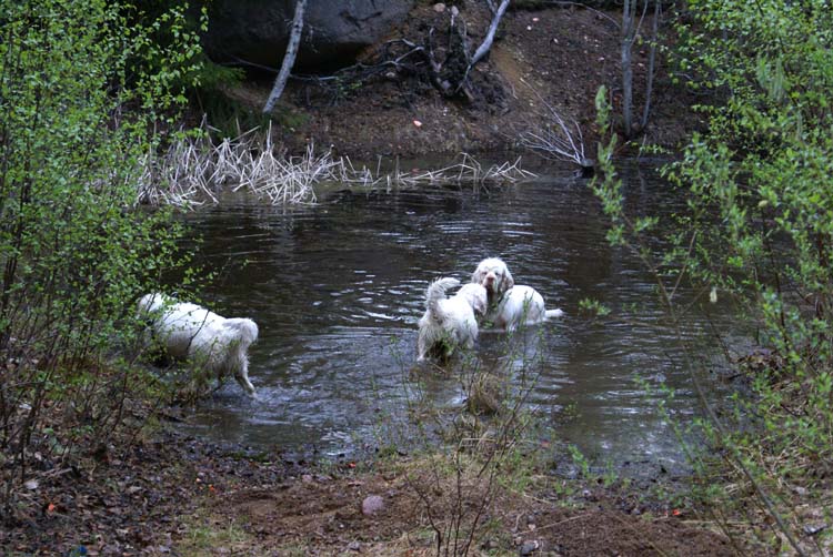 LooneyTunes_12May2011_s