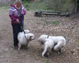 LooneyTunes_12May2011_l_Tage_c