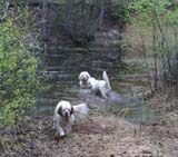 LooneyTunes_12May2011_o