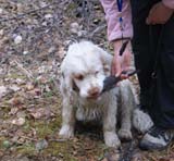 LooneyTunes_12May2011_v_Kojo_c