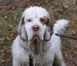 LooneyTunes_12May2011_v_Kojo_d