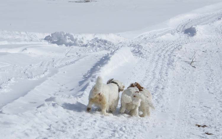 LooneyTunes_kids_Hilla