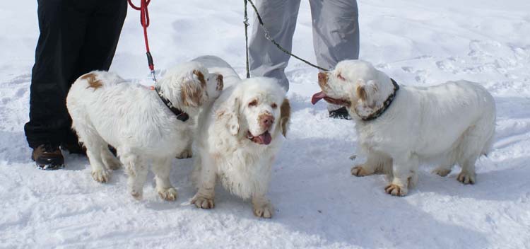 x_Tyyne_Bumbaa_Hilla