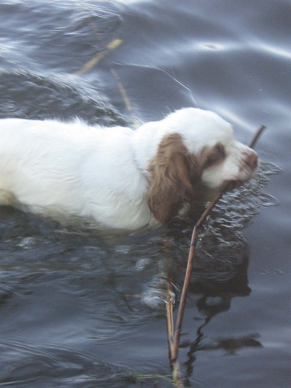 Badding_10-12weeks_b