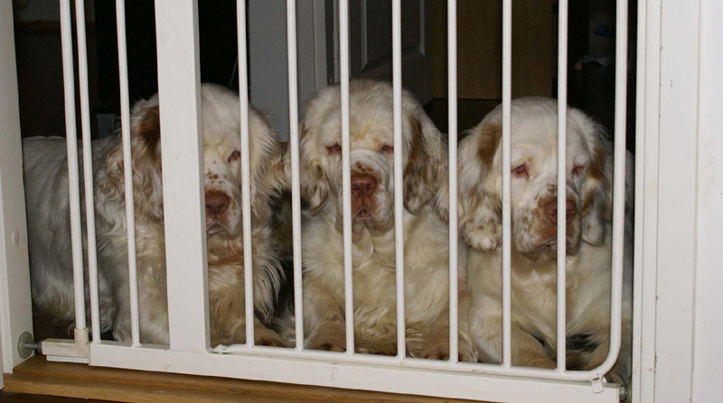 x_Aunties_Cotton(L)_Bumbaa(C)_HIlla(R)_overseeing_babies