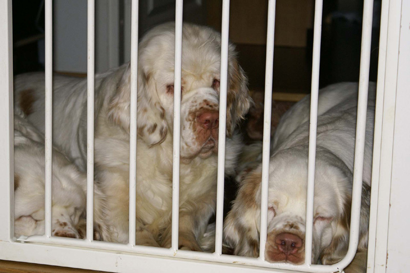 x_Aunties_Cotton(L)_Bumbaa(C)_HIlla(R)_overseeing_babies_c