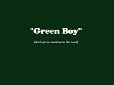 X_BOY_GREEN