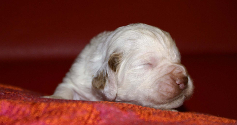 x_boy_bronze_2weeks_b