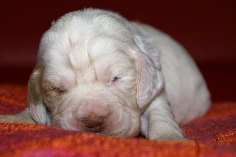 x_girl_green_2weeks_a