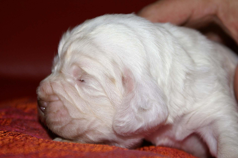 x_girl_green_2weeks_b