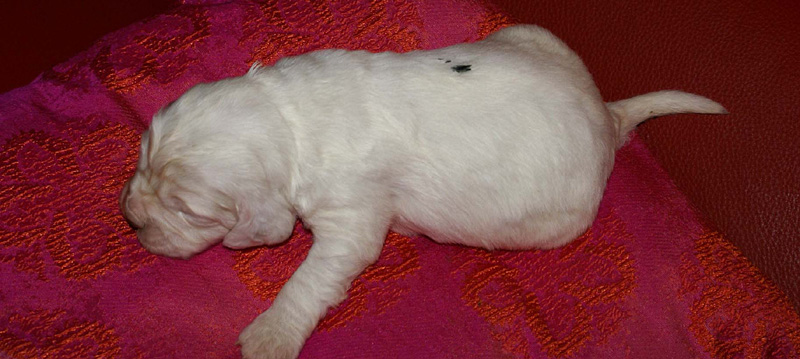 x_girl_green_2weeks_c