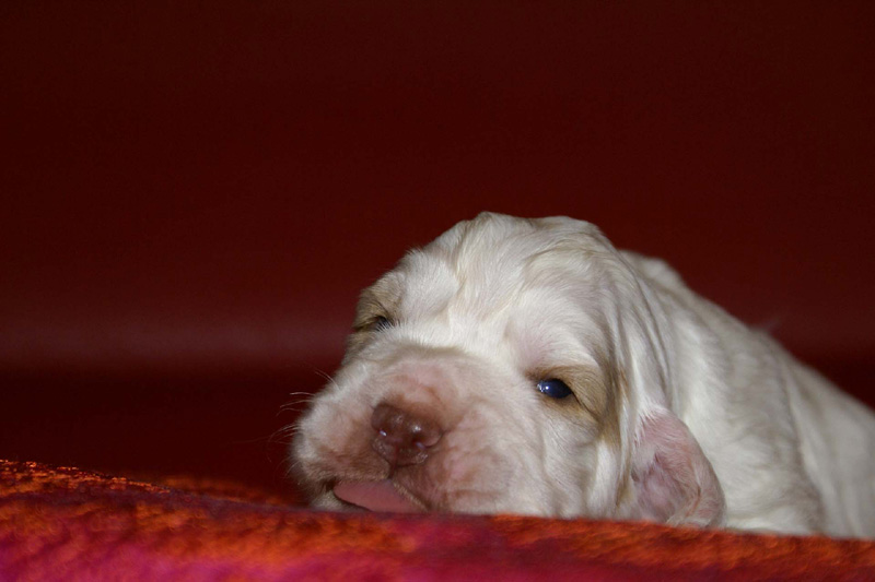 x_girl_purple_2weeks_b