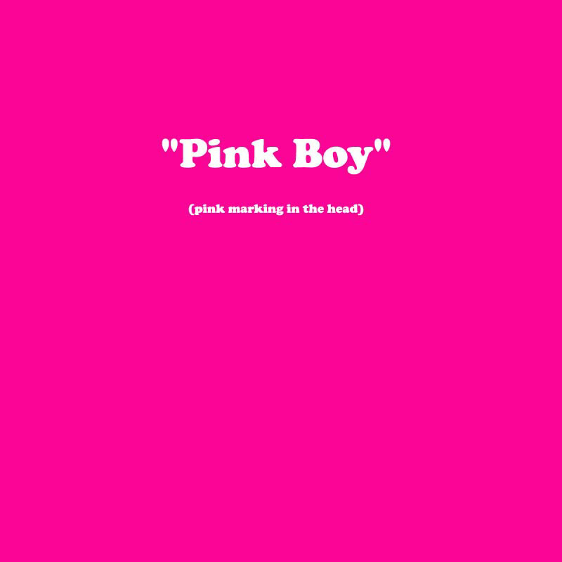 X_BOY_PINK