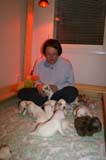 pups_3weeks_old_k