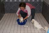 a_pups_bathing_nearly_6weeks_old_q
