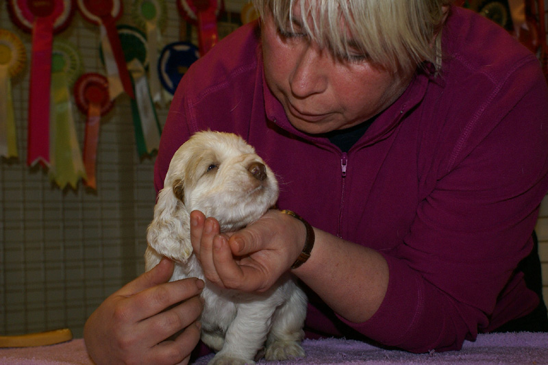 x_boy_blue_almost_5weeks_i