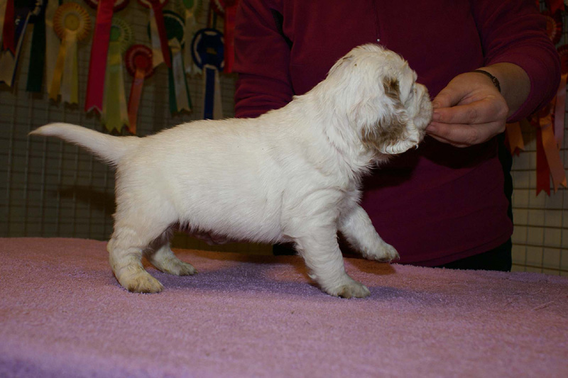 x_boy_bronze_almost_5weeks_b