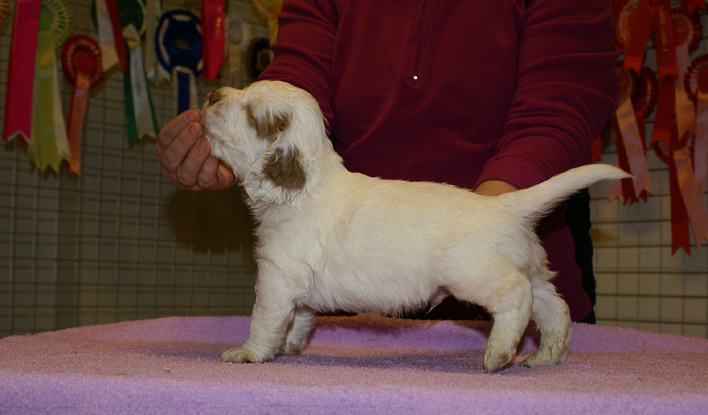 x_boy_bronze_almost_5weeks_g