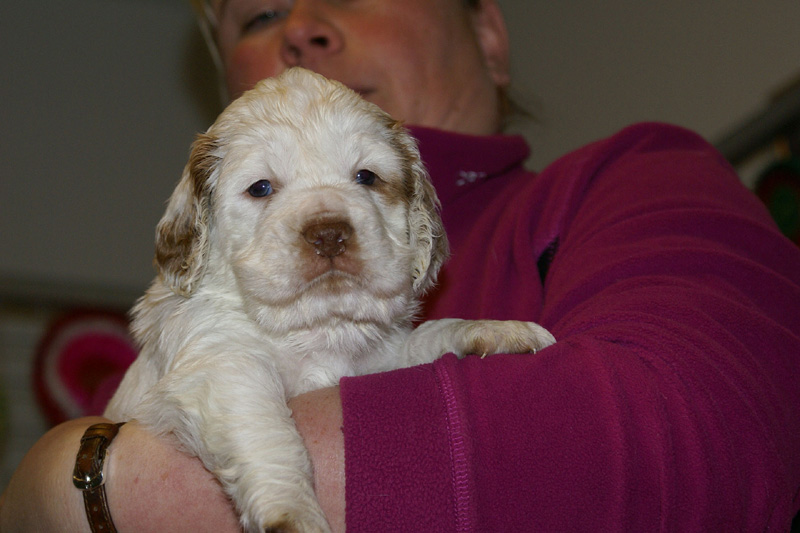 x_boy_bronze_almost_5weeks_h