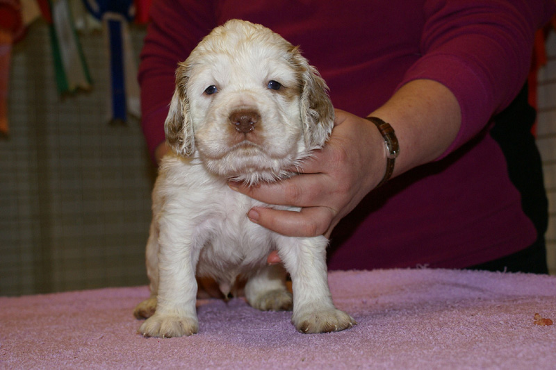 x_boy_bronze_almost_5weeks_i