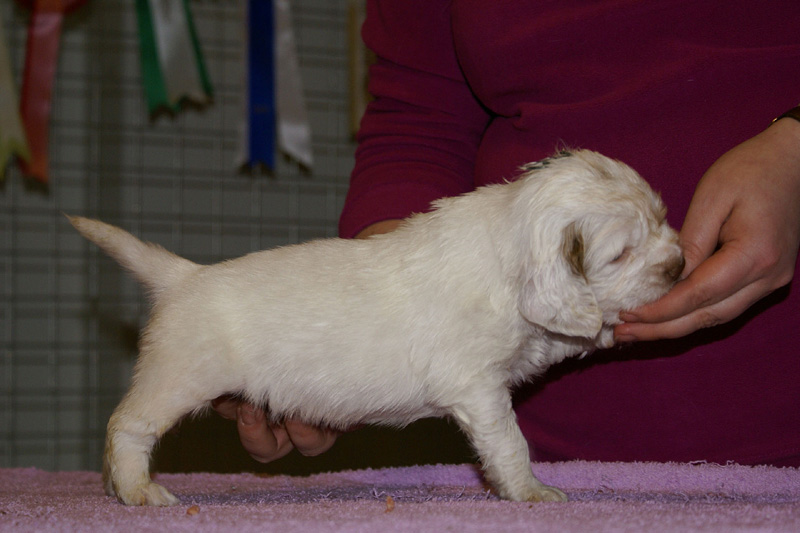 x_boy_green_almost_5weeks