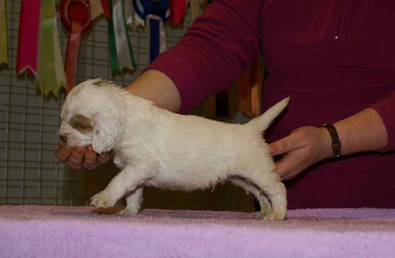 x_boy_green_almost_5weeks_b