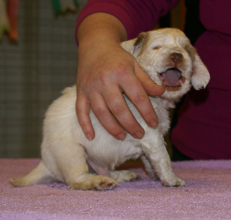 x_boy_green_almost_5weeks_c