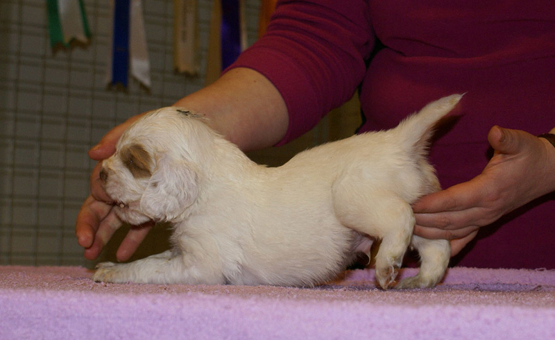 x_boy_green_almost_5weeks_d