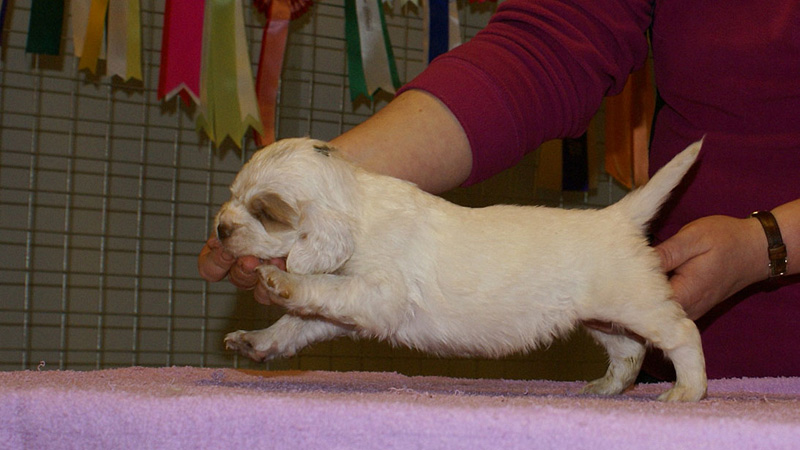 x_boy_green_almost_5weeks_e