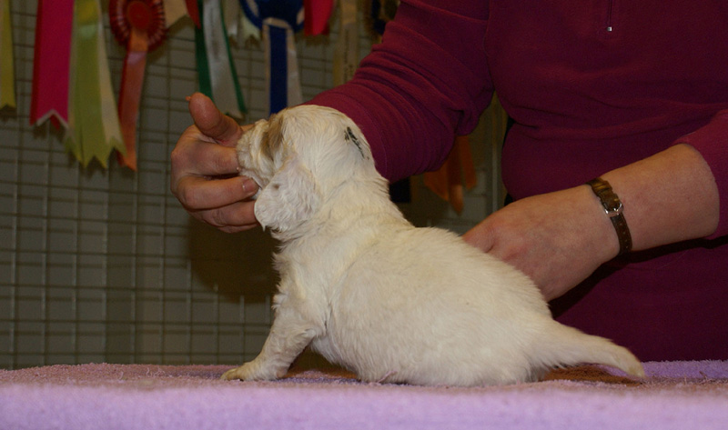 x_boy_green_almost_5weeks_g