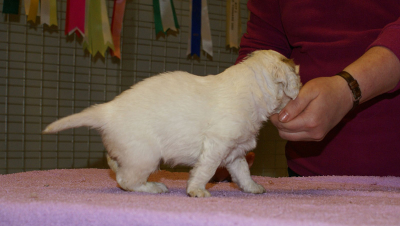 x_boy_green_almost_5weeks_h