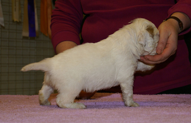 x_boy_green_almost_5weeks_i