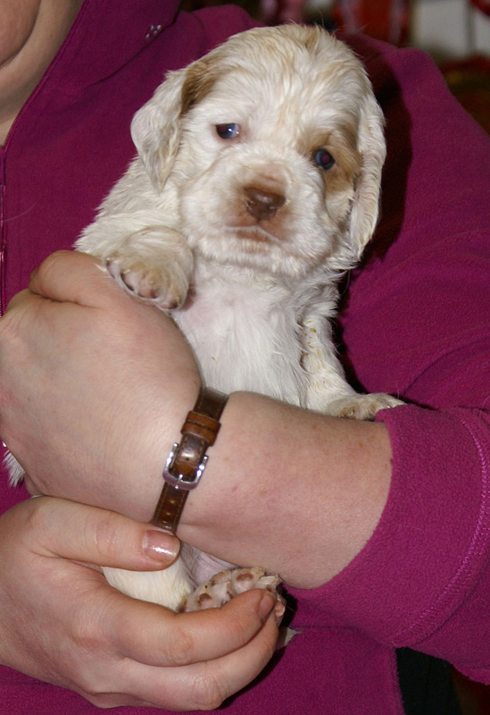 x_boy_green_almost_5weeks_k