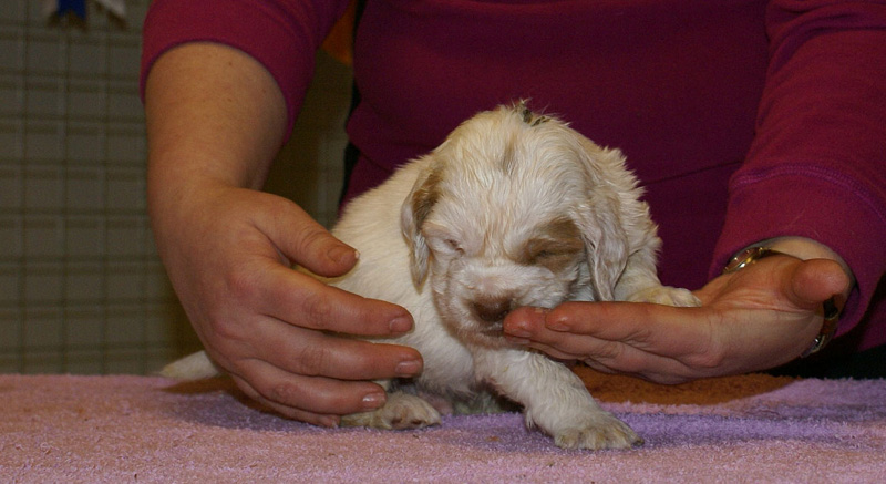 x_boy_green_almost_5weeks_l