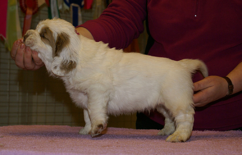 x_boy_pink_almost_5weeks_b