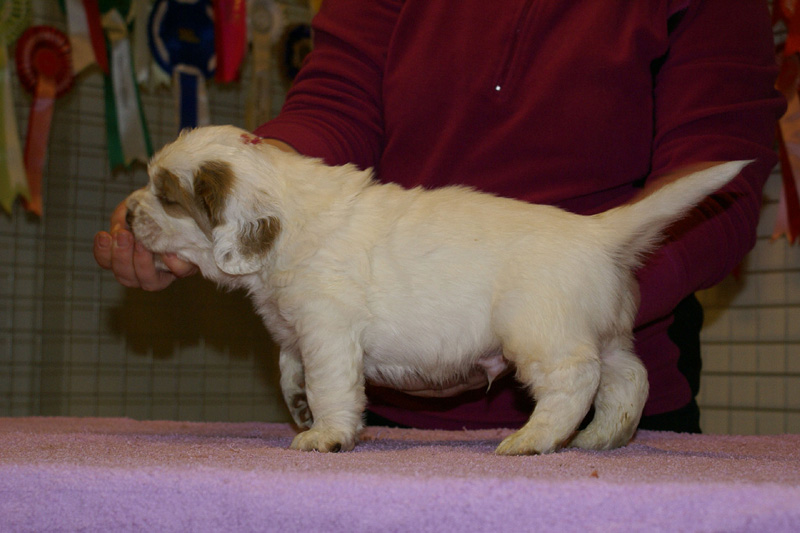 x_boy_pink_almost_5weeks_c