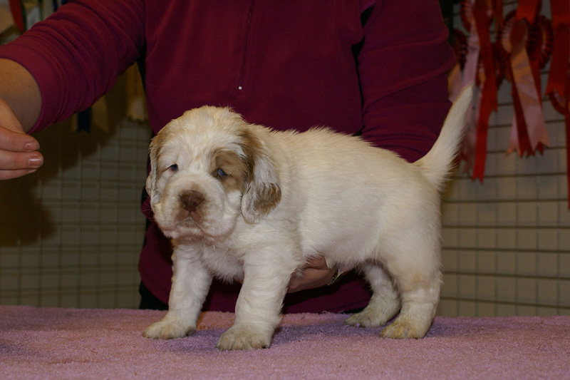 x_boy_pink_almost_5weeks_d