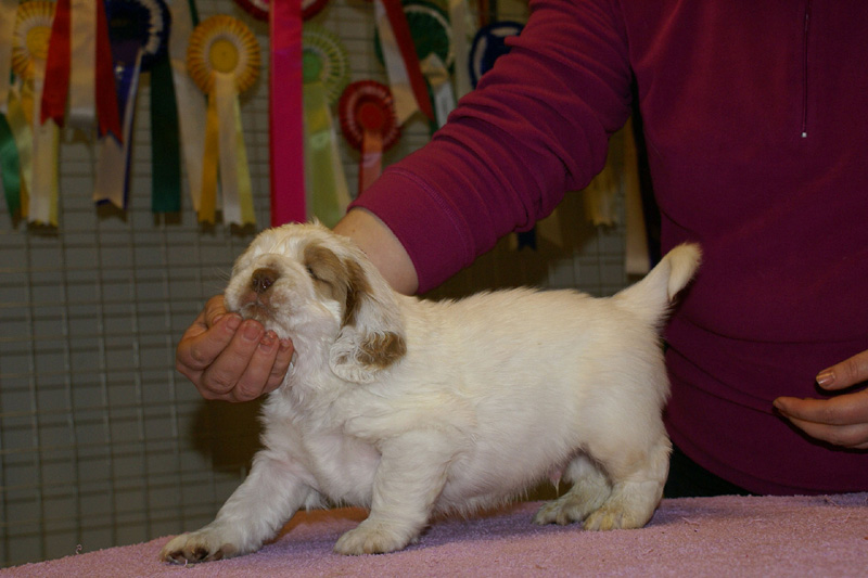 x_boy_pink_almost_5weeks_e