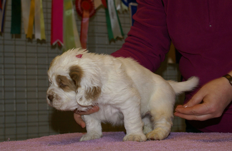 x_boy_pink_almost_5weeks_f