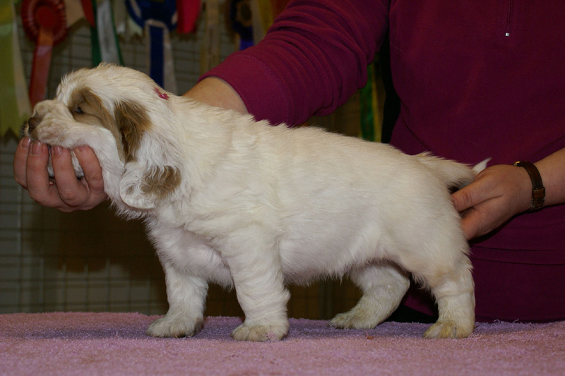 x_boy_pink_almost_5weeks_g