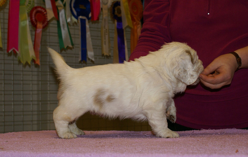 x_boy_pink_almost_5weeks_h