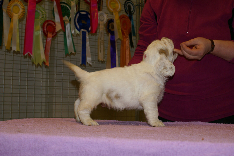 x_boy_pink_almost_5weeks_j