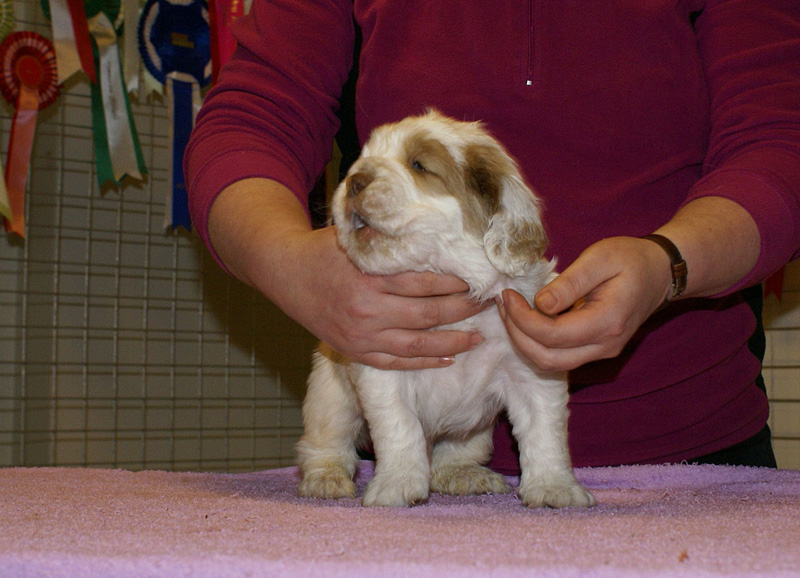 x_boy_pink_almost_5weeks_k